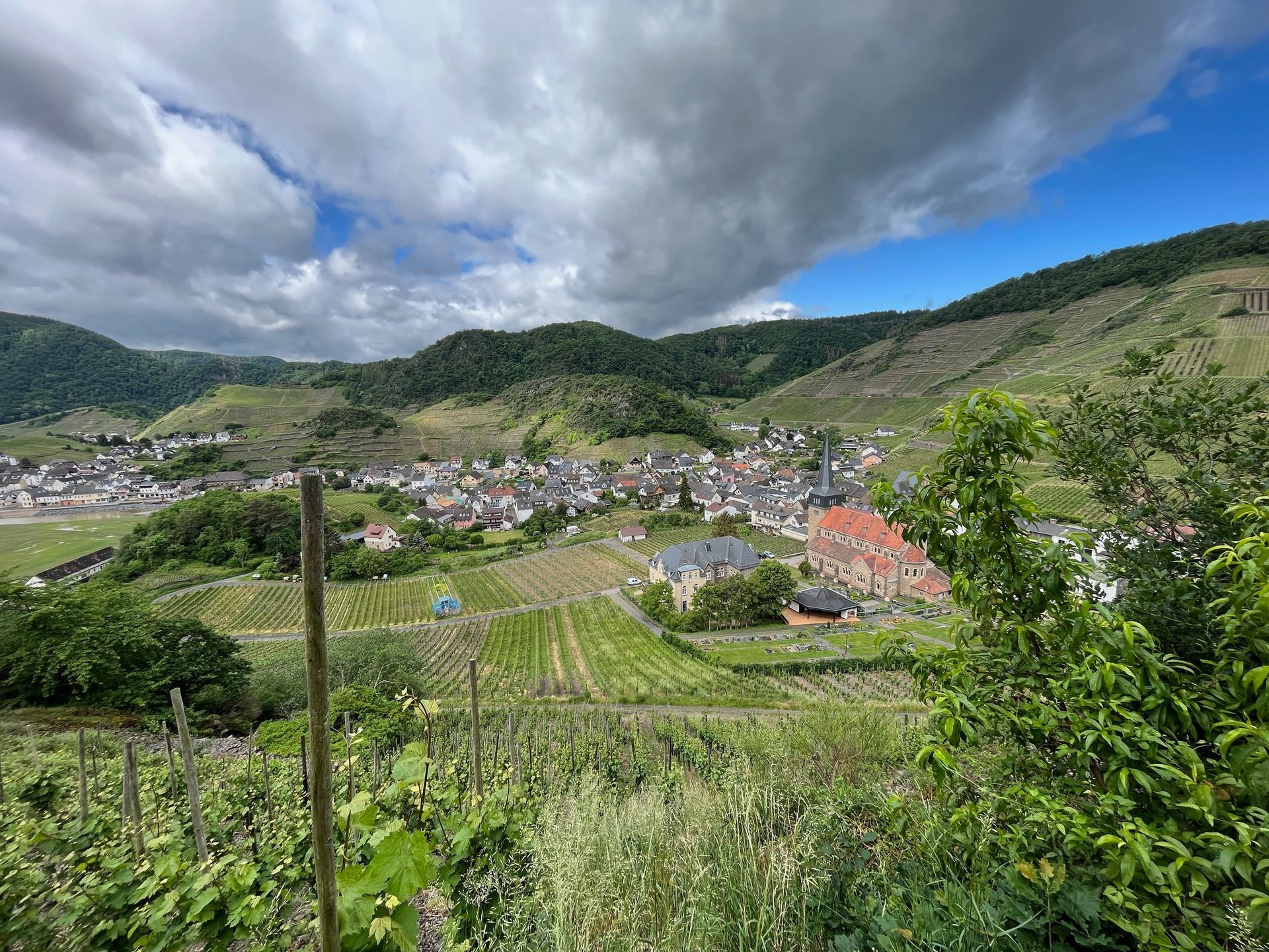 Ahrtal Germany vineyard vista