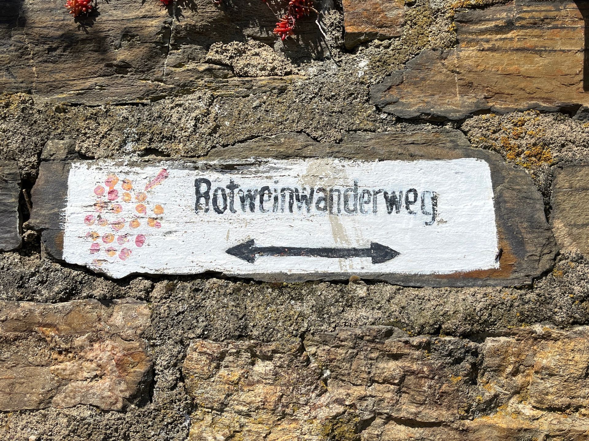 red wine train Ahr Germany