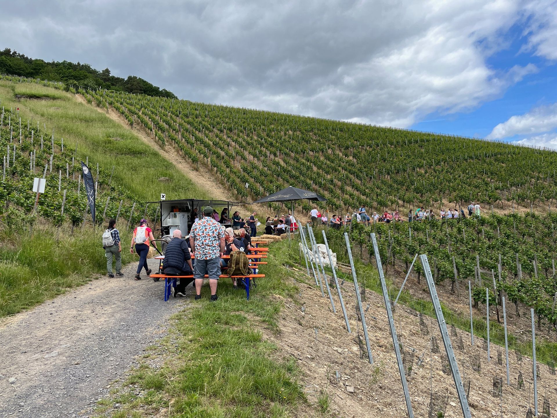 wine stand Ahr Valley Germany