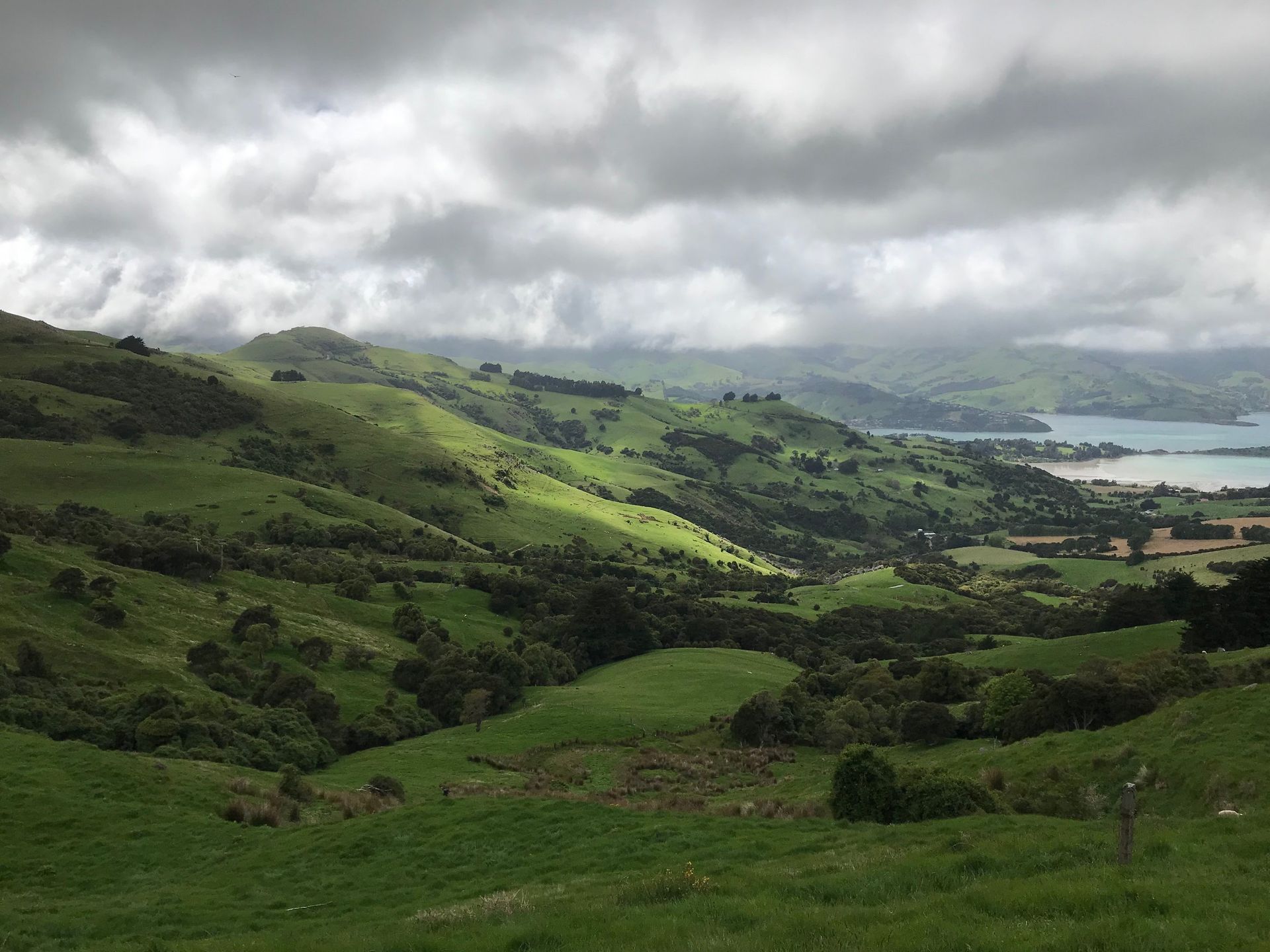 green hills New Zealand