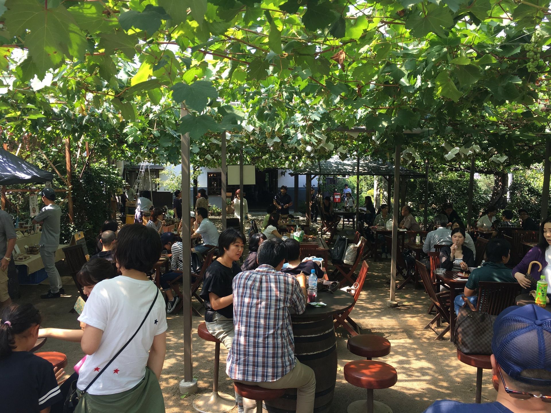 winery lunch Japan