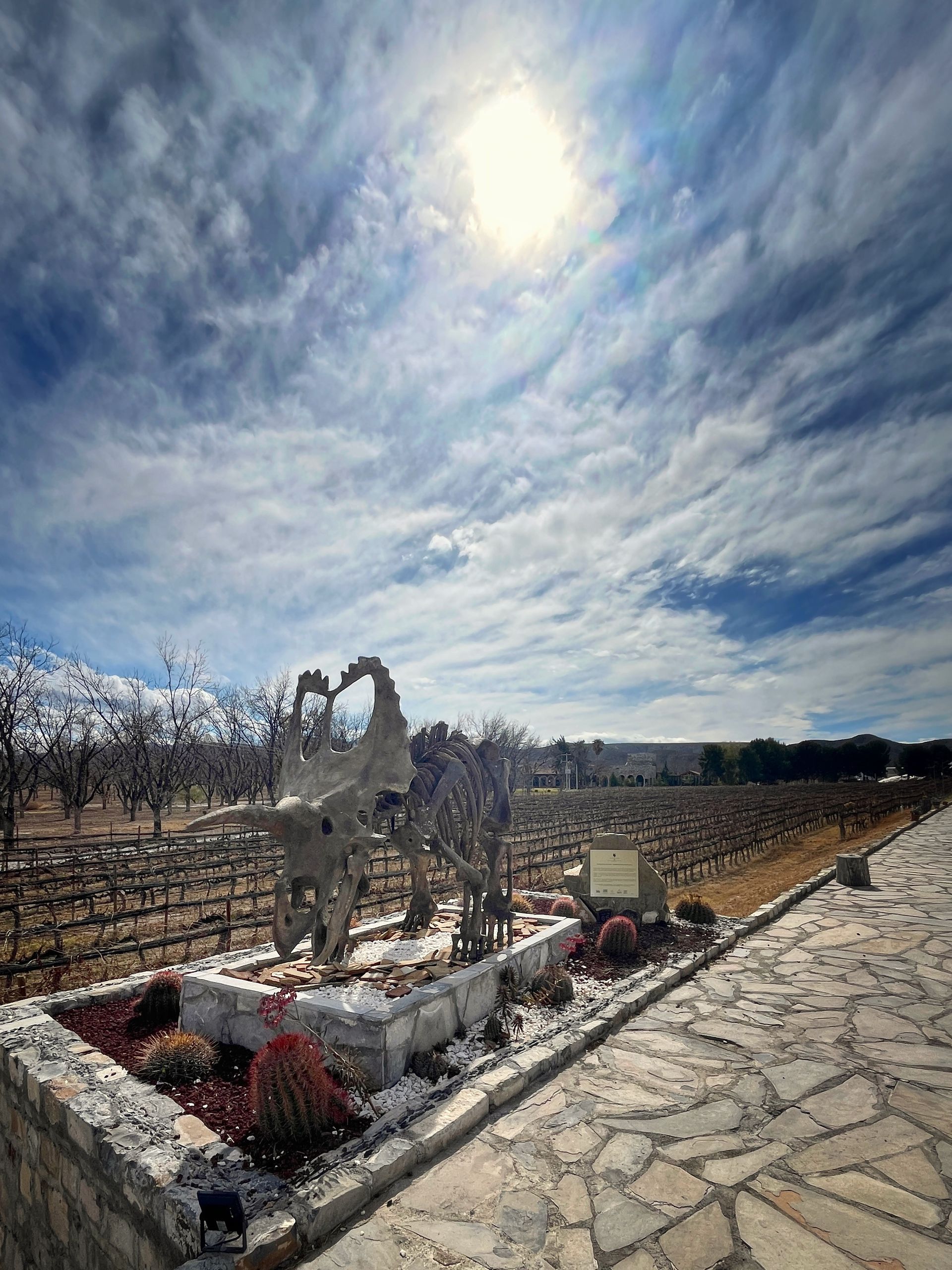 dinosaur and vineyard