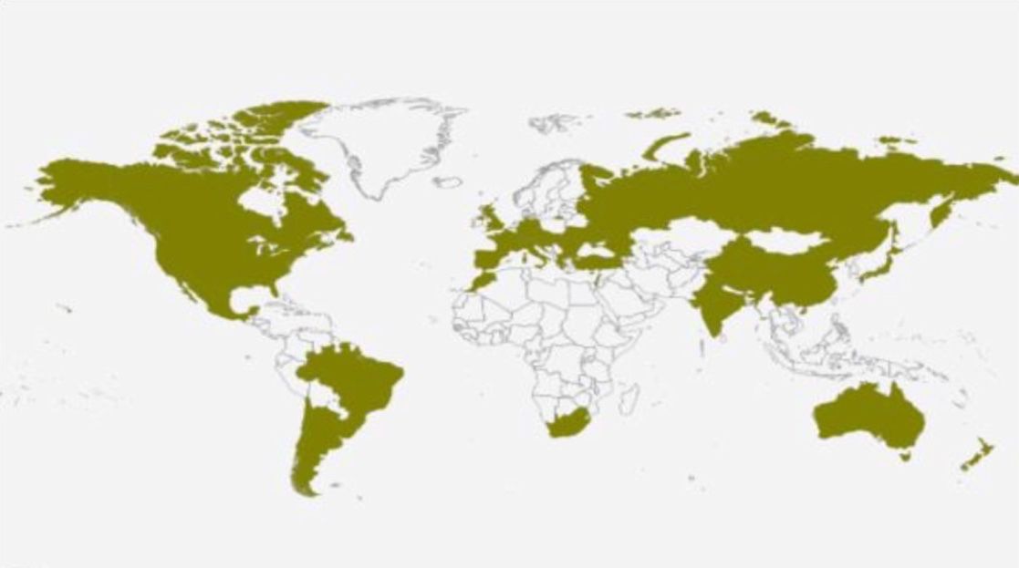 chardonnay wine map