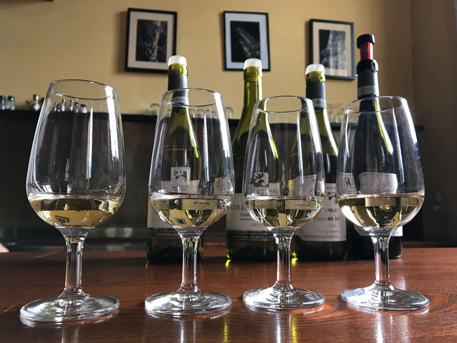 Montefalco white wine tasting