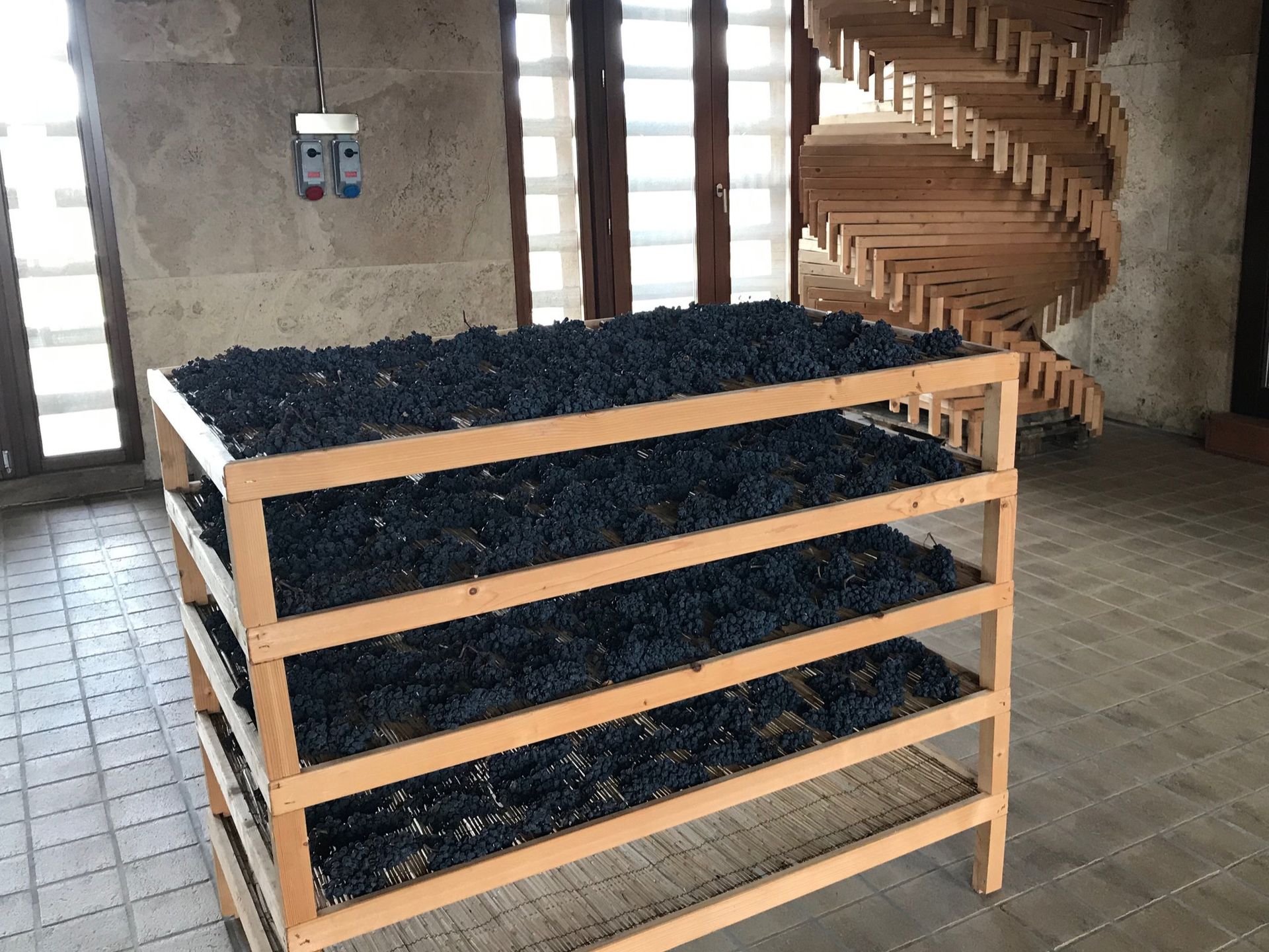 wine grape drying rack Italy