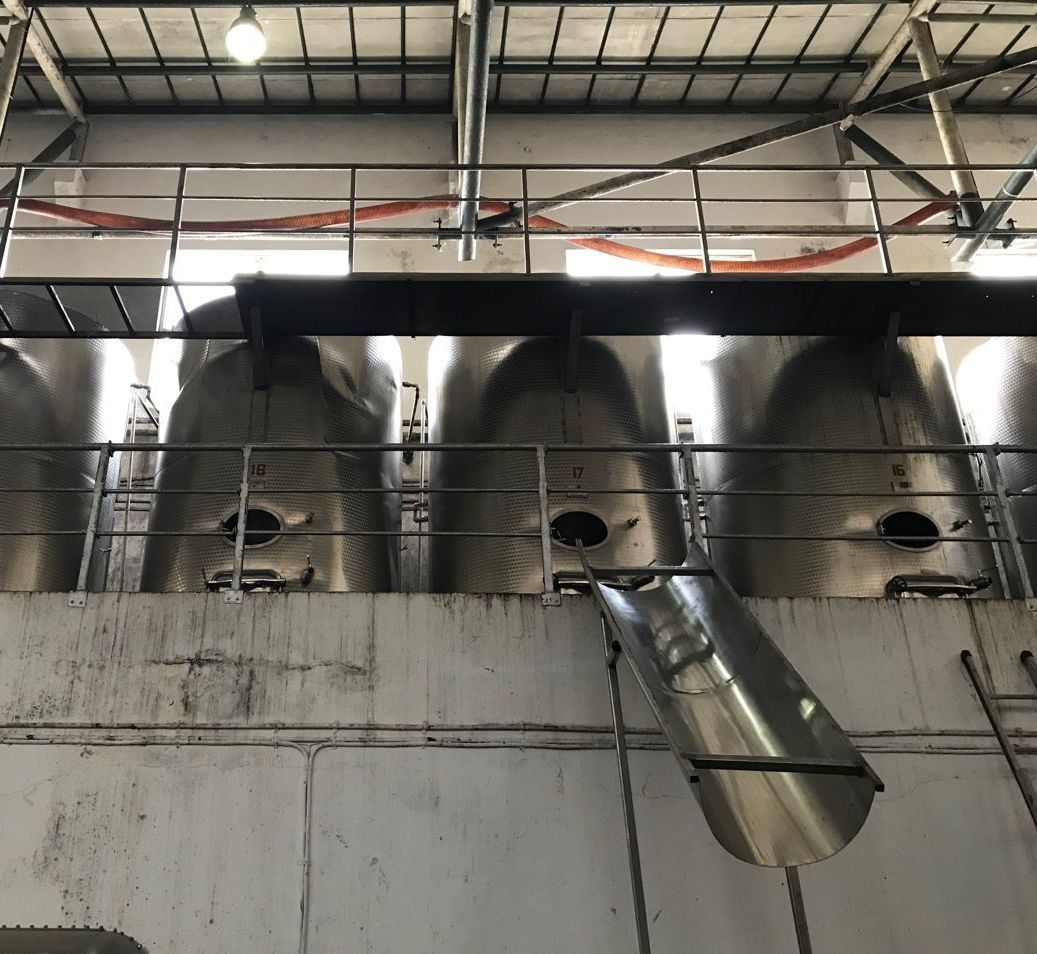 wine production India