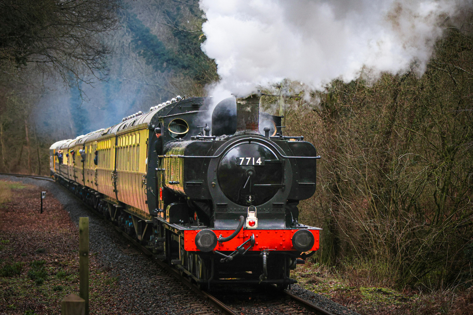 Steam train with yellow carriages chugs through a wooded countryside, billowing white smoke.