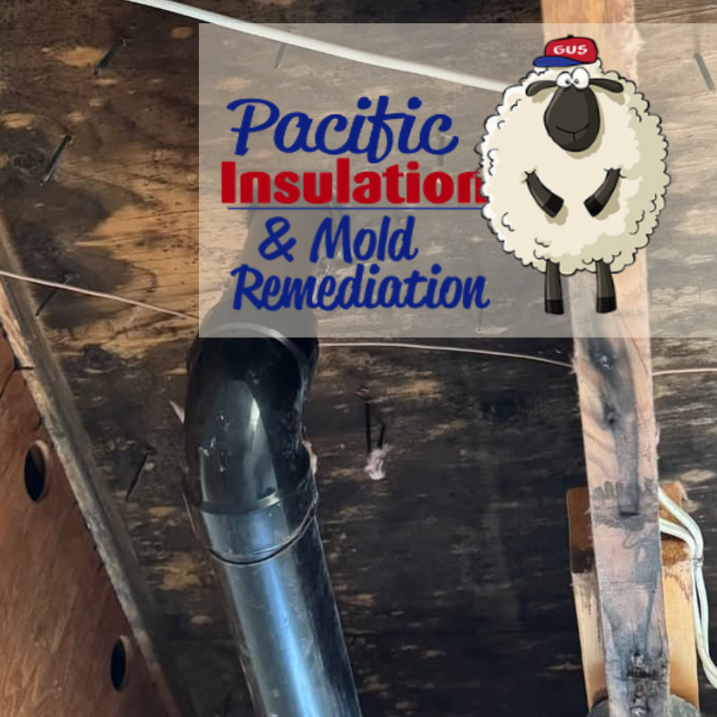 Understanding Mold Growth on Insulation Materials