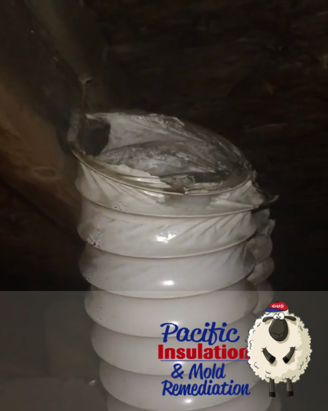 The Top 5 Causes of Attic Mold