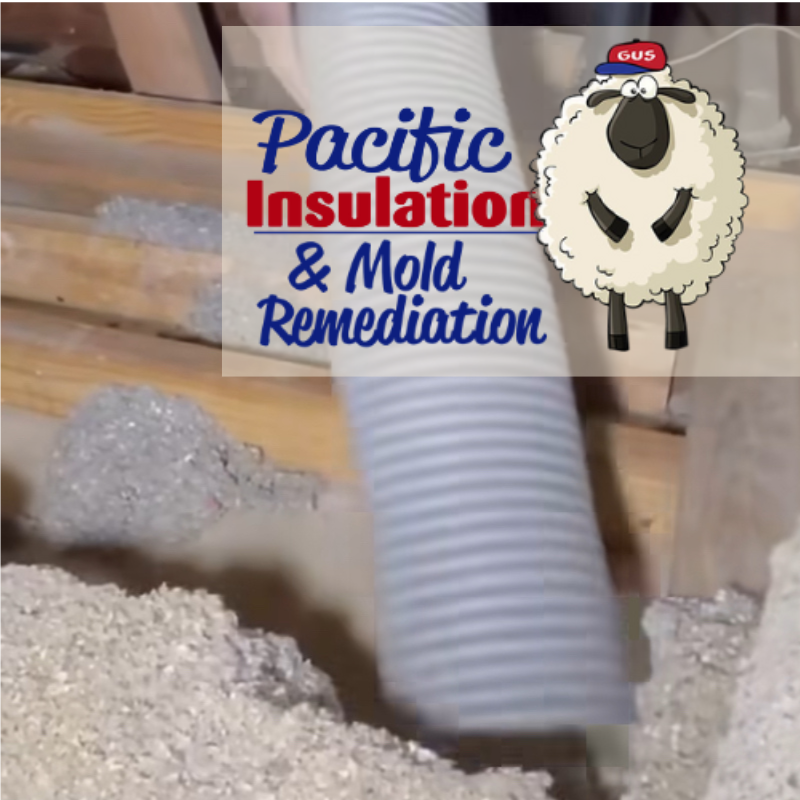Understanding Attic Insulation Removal Expenses