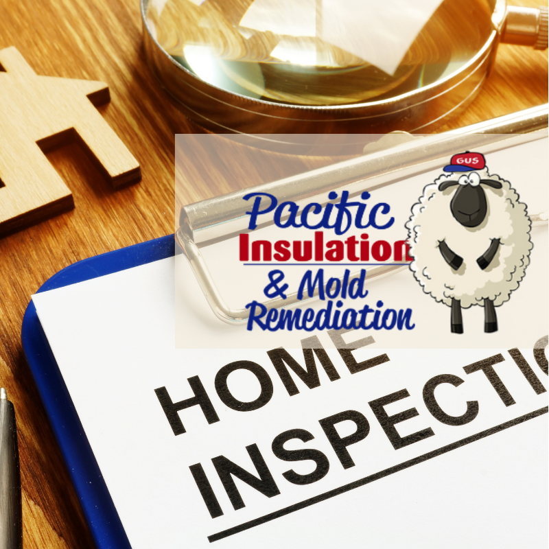 Common Home Inspection Issues to Watch For