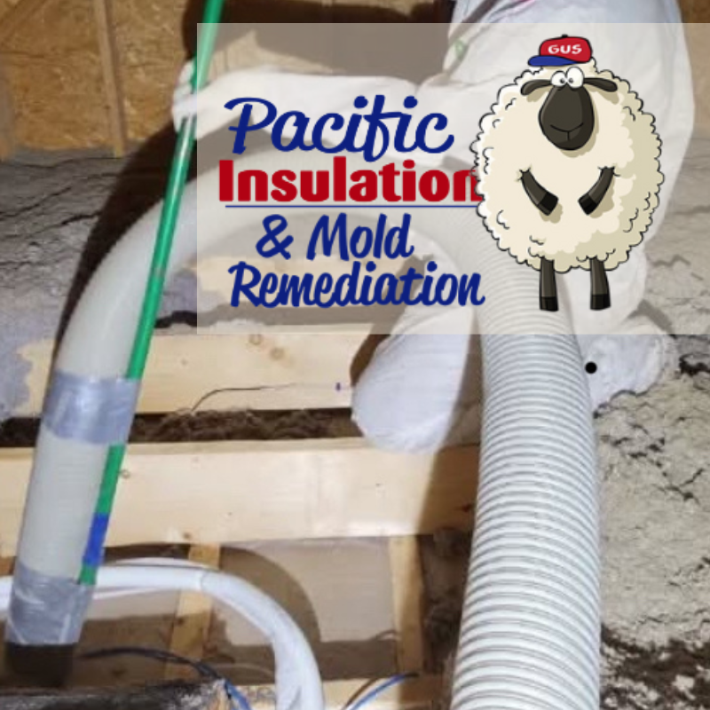 How to remove old insulation from attic