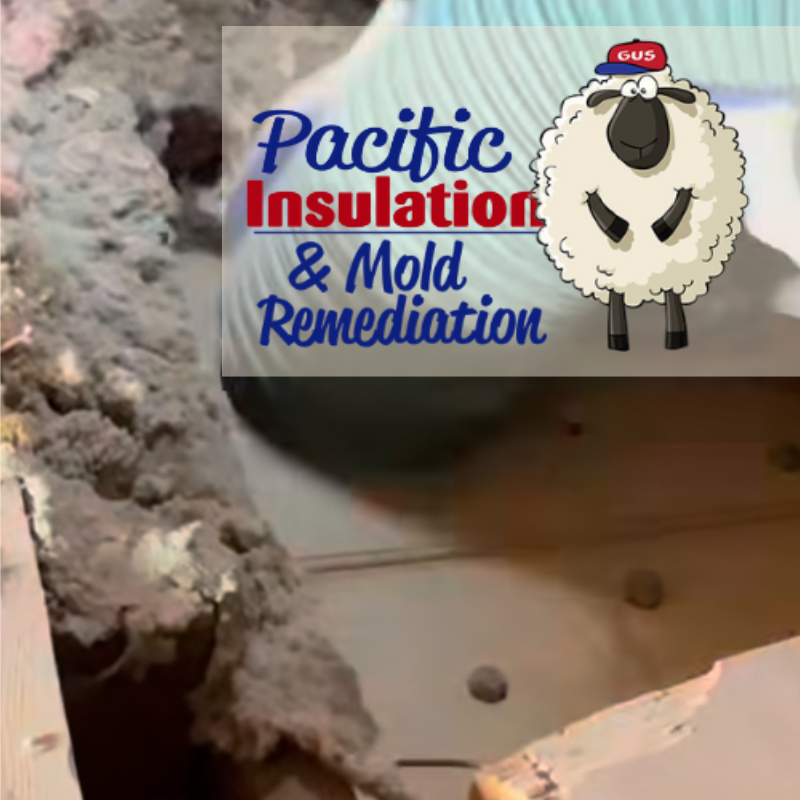 Finding Local Insulation Removal Services Easily