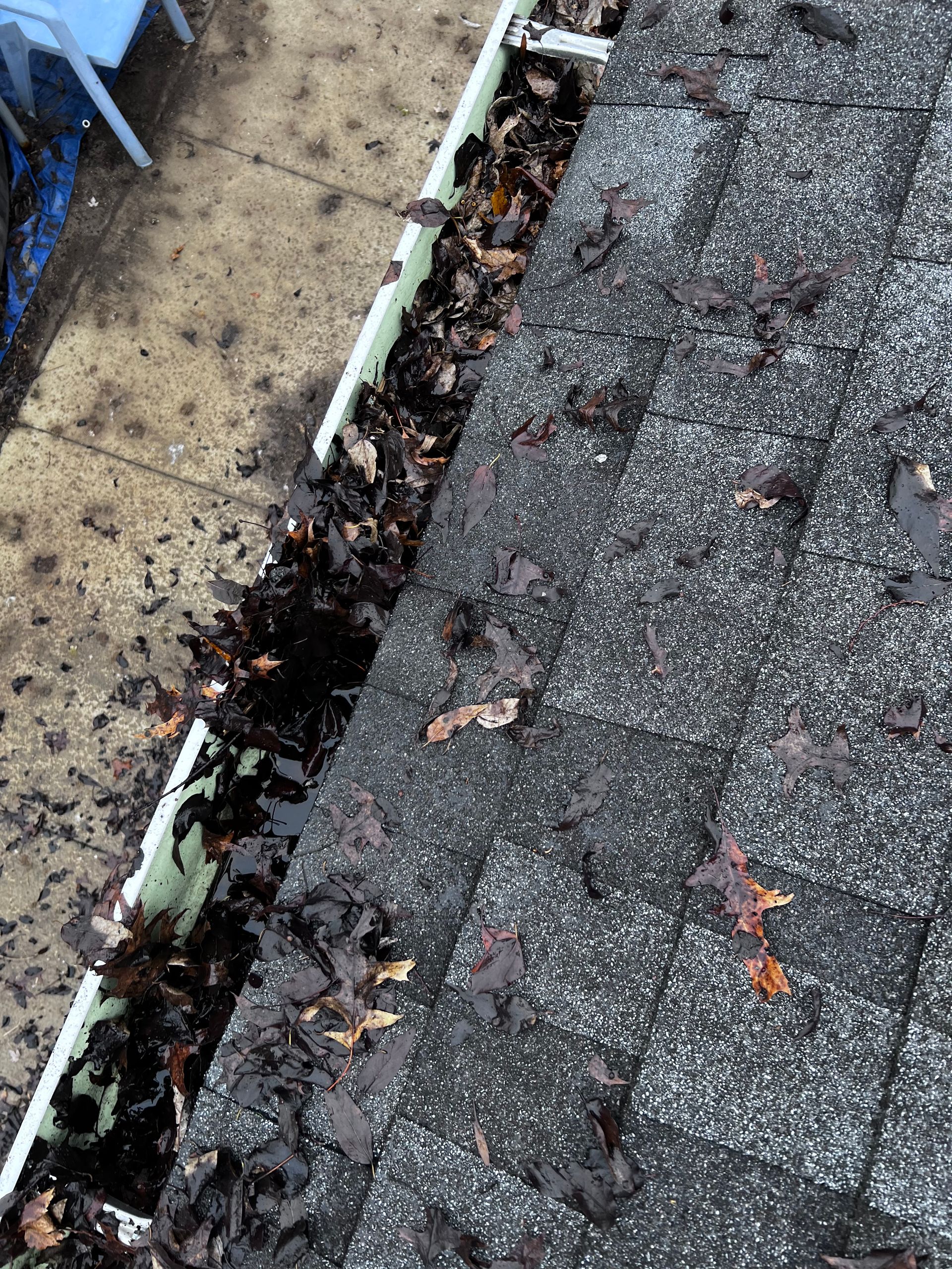 A gutter filled with leaves on top of a roof.