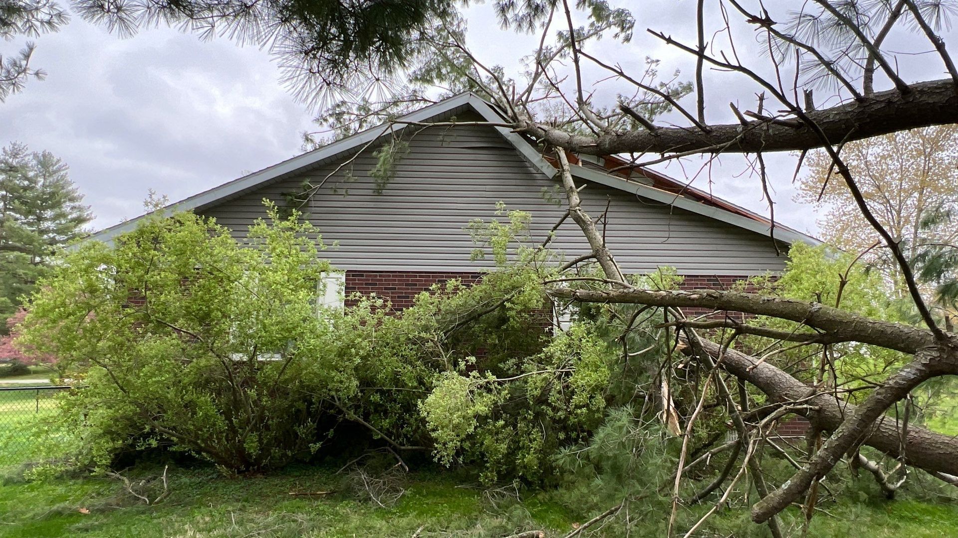 A house with a fallen tree in front of it.