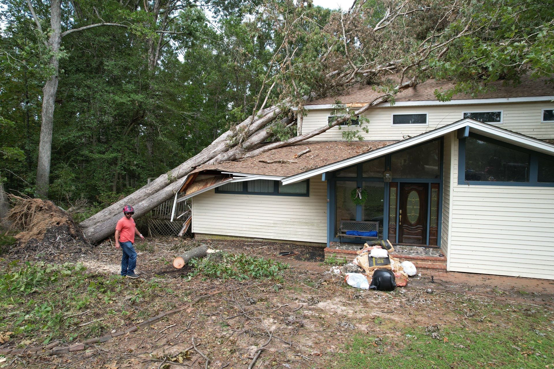 A tree has fallen on the roof of a house.