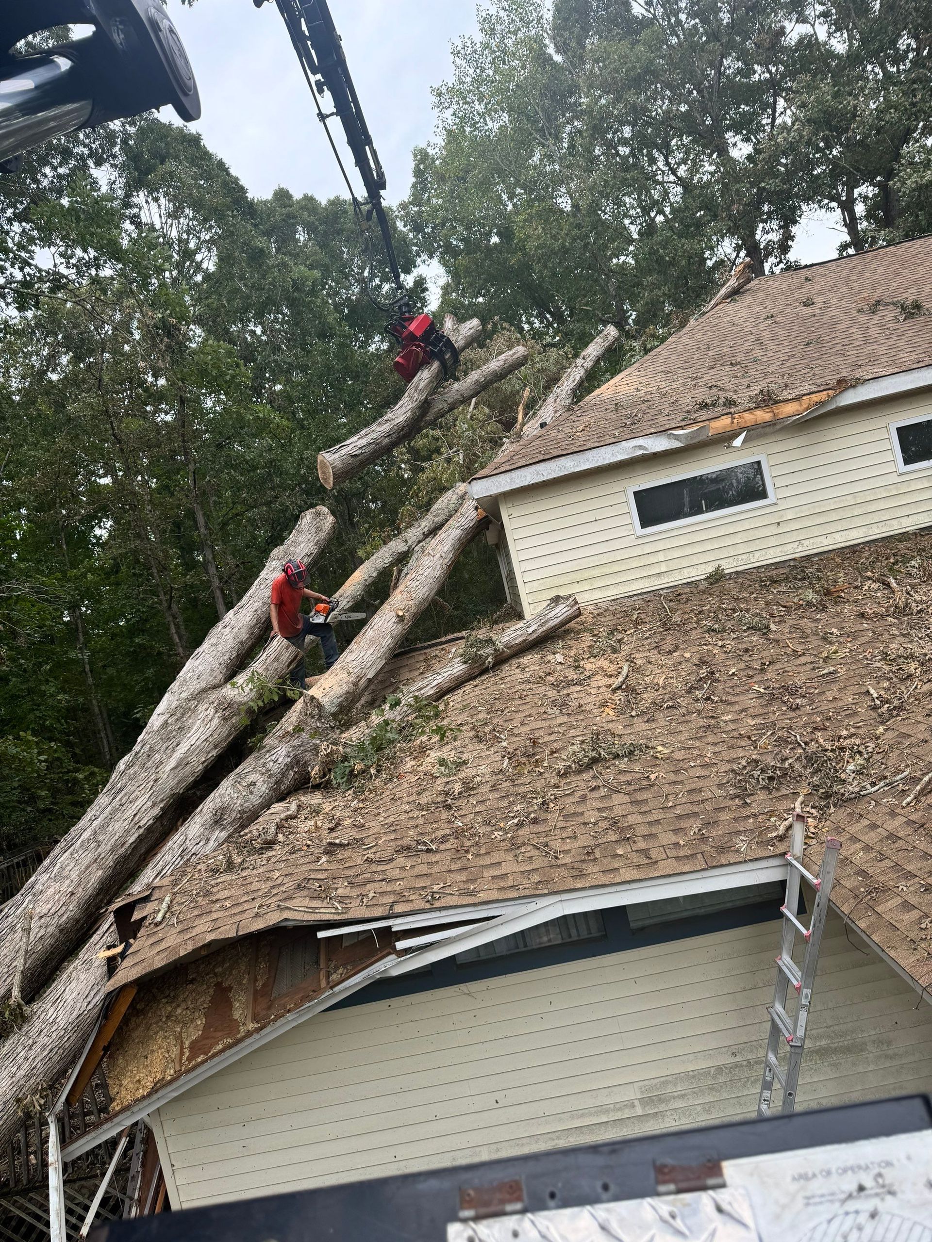 A crane is lifting a tree from the roof of a house.