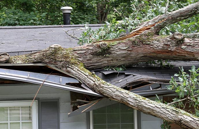 A tree has fallen on the roof of a house.