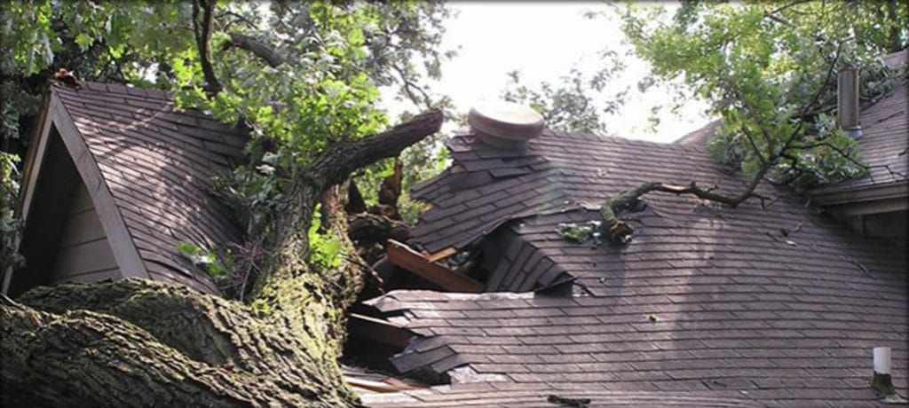 A tree has fallen on the roof of a house.
