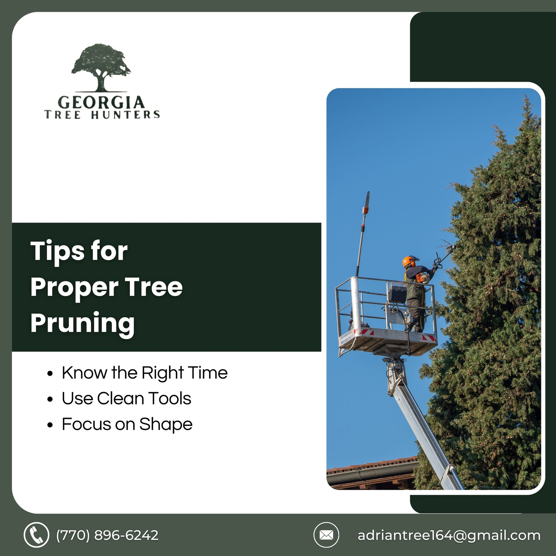 A worker pruning a tall tree from a lift platform. Tips: proper pruning time, use clean tools, focus on shape.