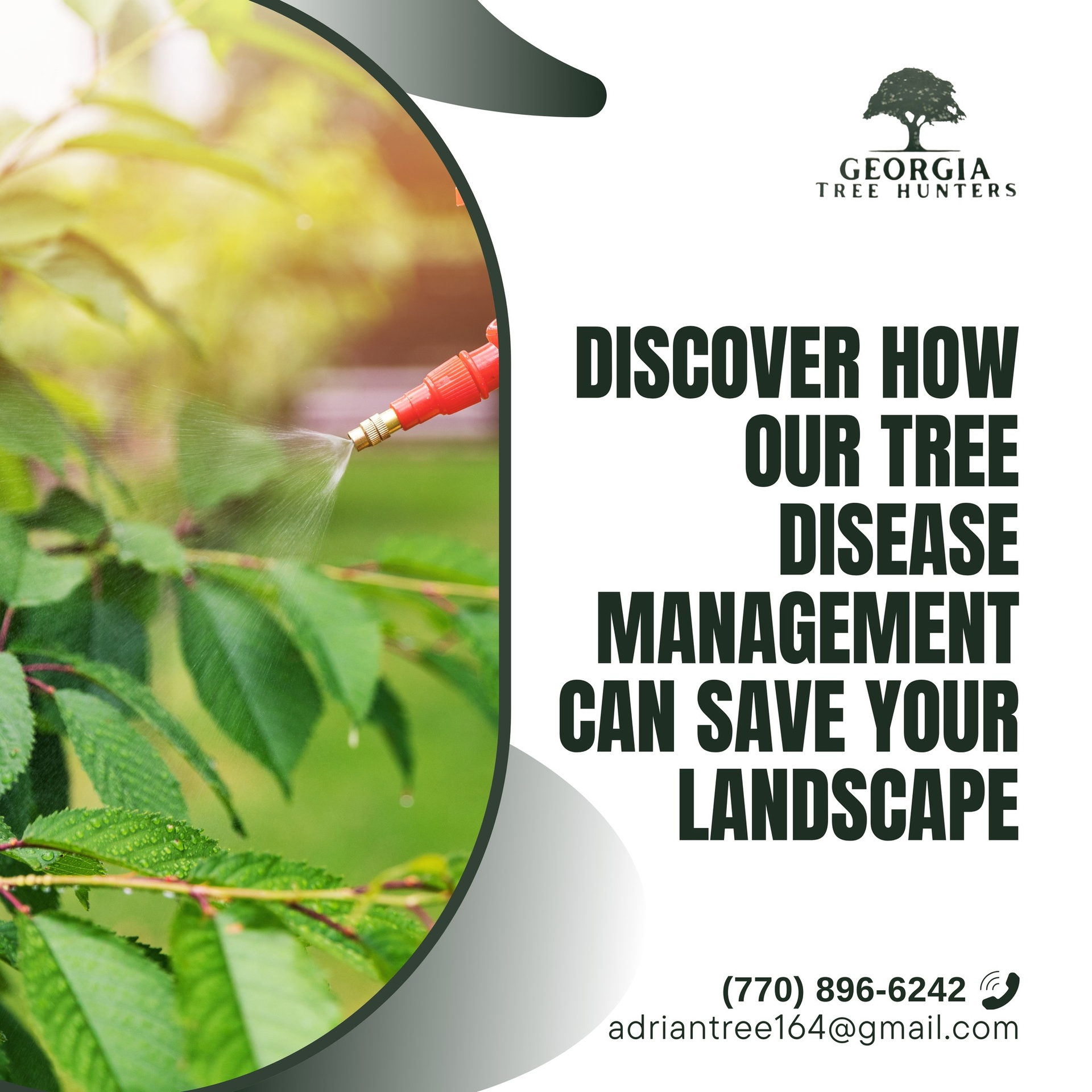 Ad for Georgia Tree Hunters: A person sprays a tree. Text: 