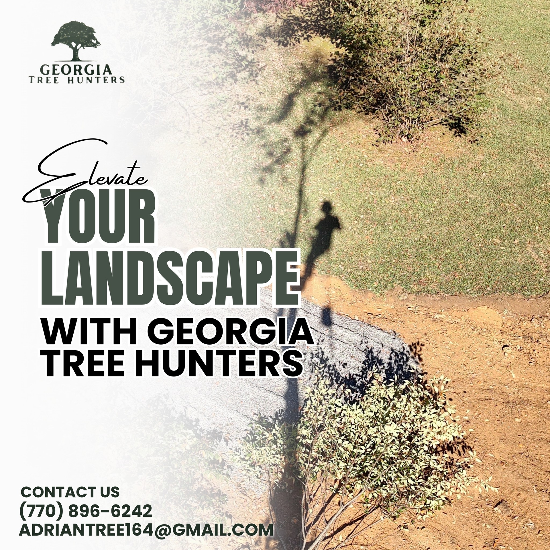 Advertisement for Georgia Tree Hunters. Text overlay: 