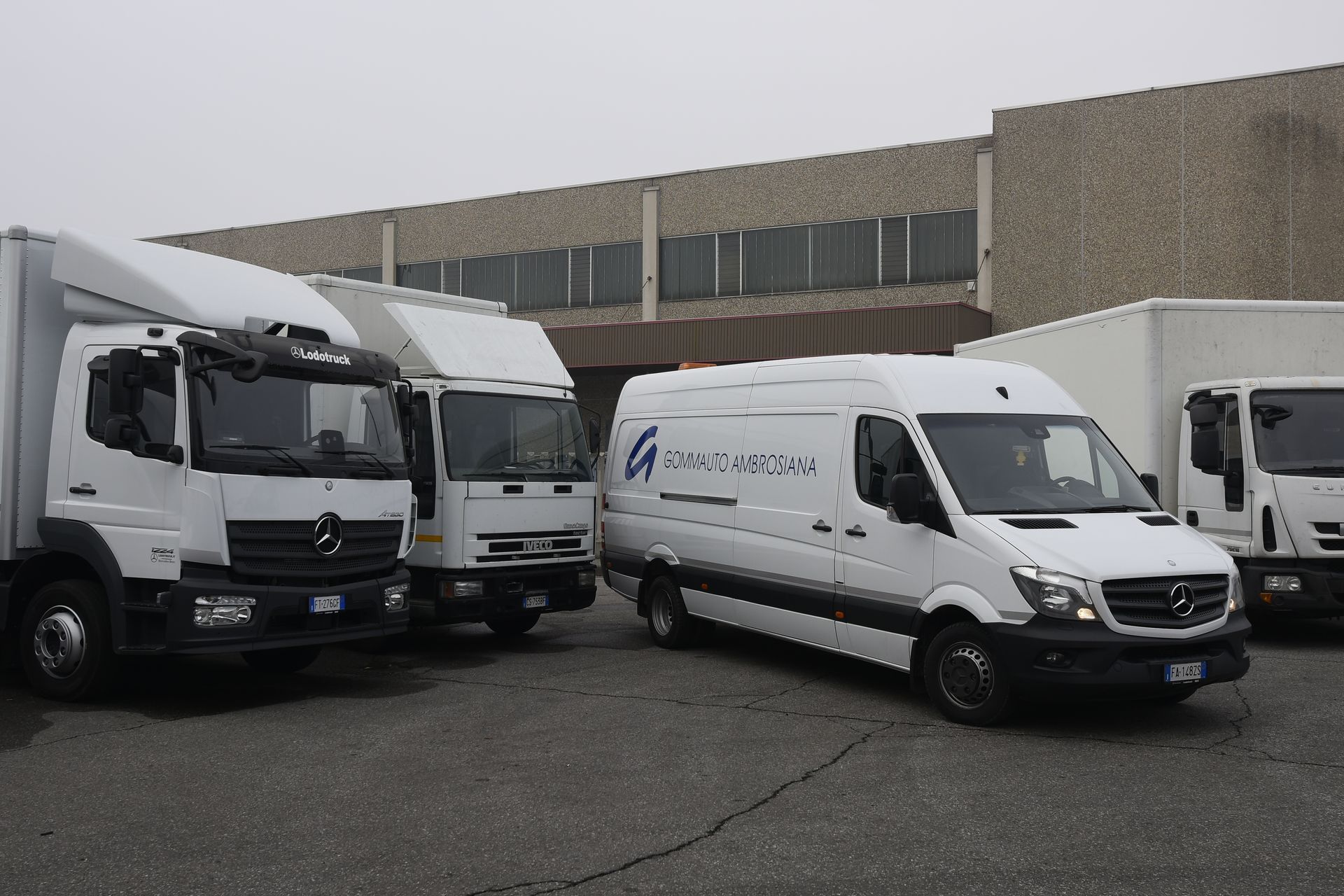 Camion e furgoni bianchi 