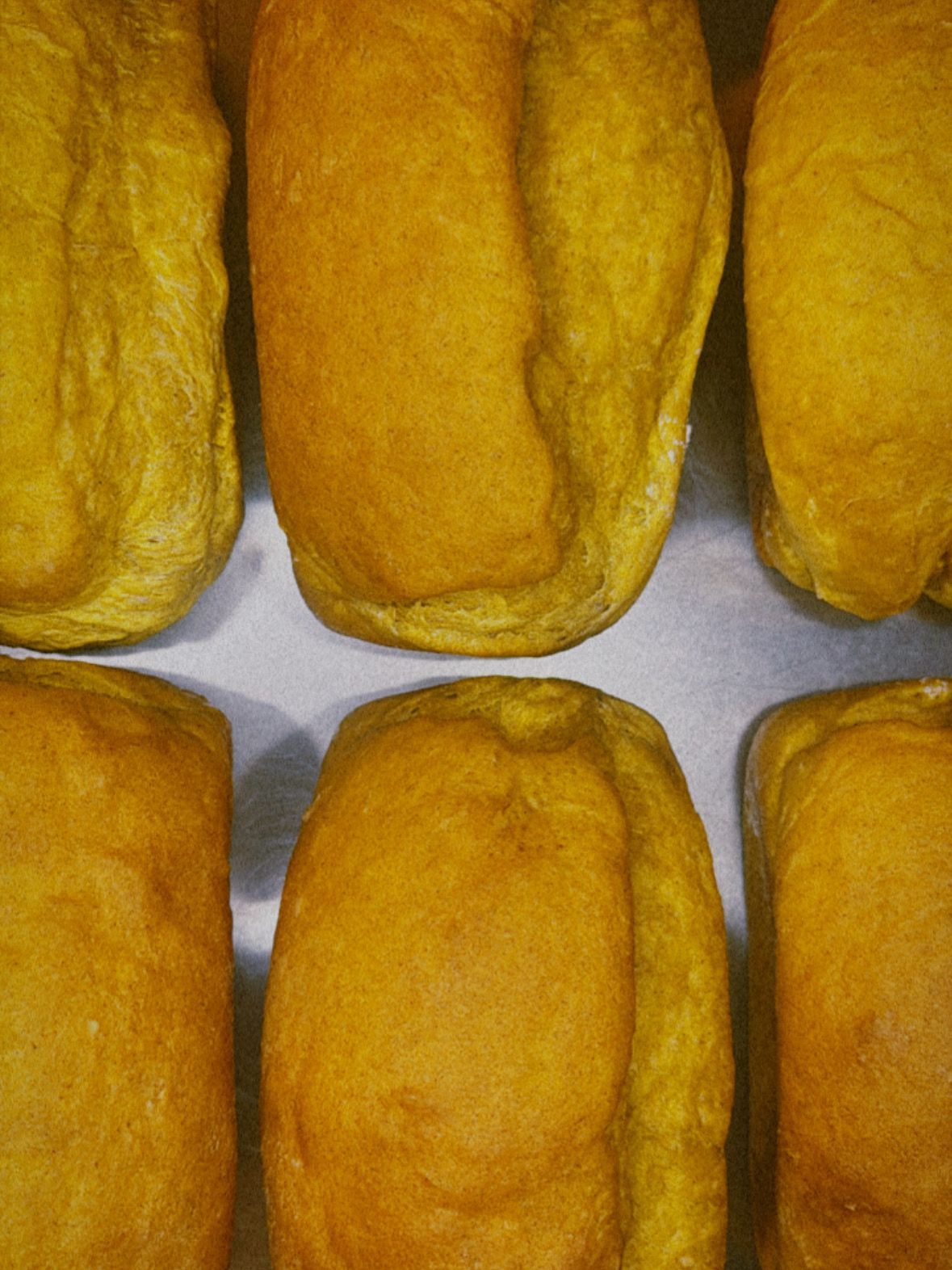 Pumpkin Loaf