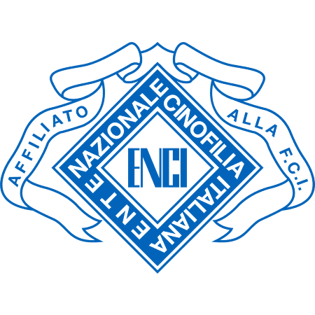 Blue ENCI logo: diamond-shaped design with text 