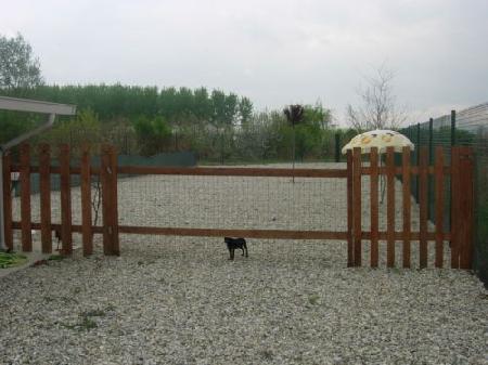 Cane nero all'interno di un cortile recintato con ghiaia. Cancello e recinzione in legno marrone. Alberi sullo sfondo. Cielo coperto.