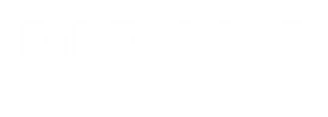 Firespace by Zinnober Logo