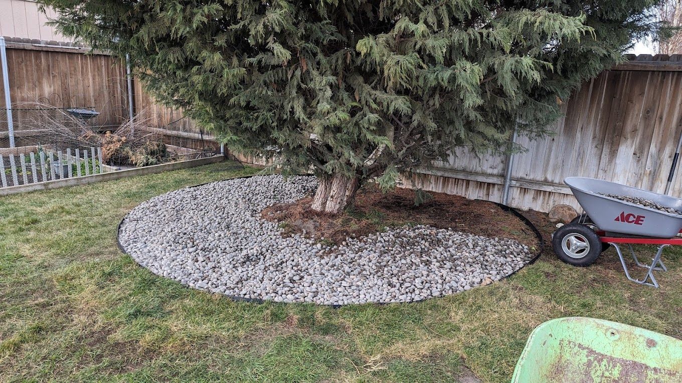 Circular rock bed surrounding a tree trunk in a grassy yard, near a fence and wheelbarrow.