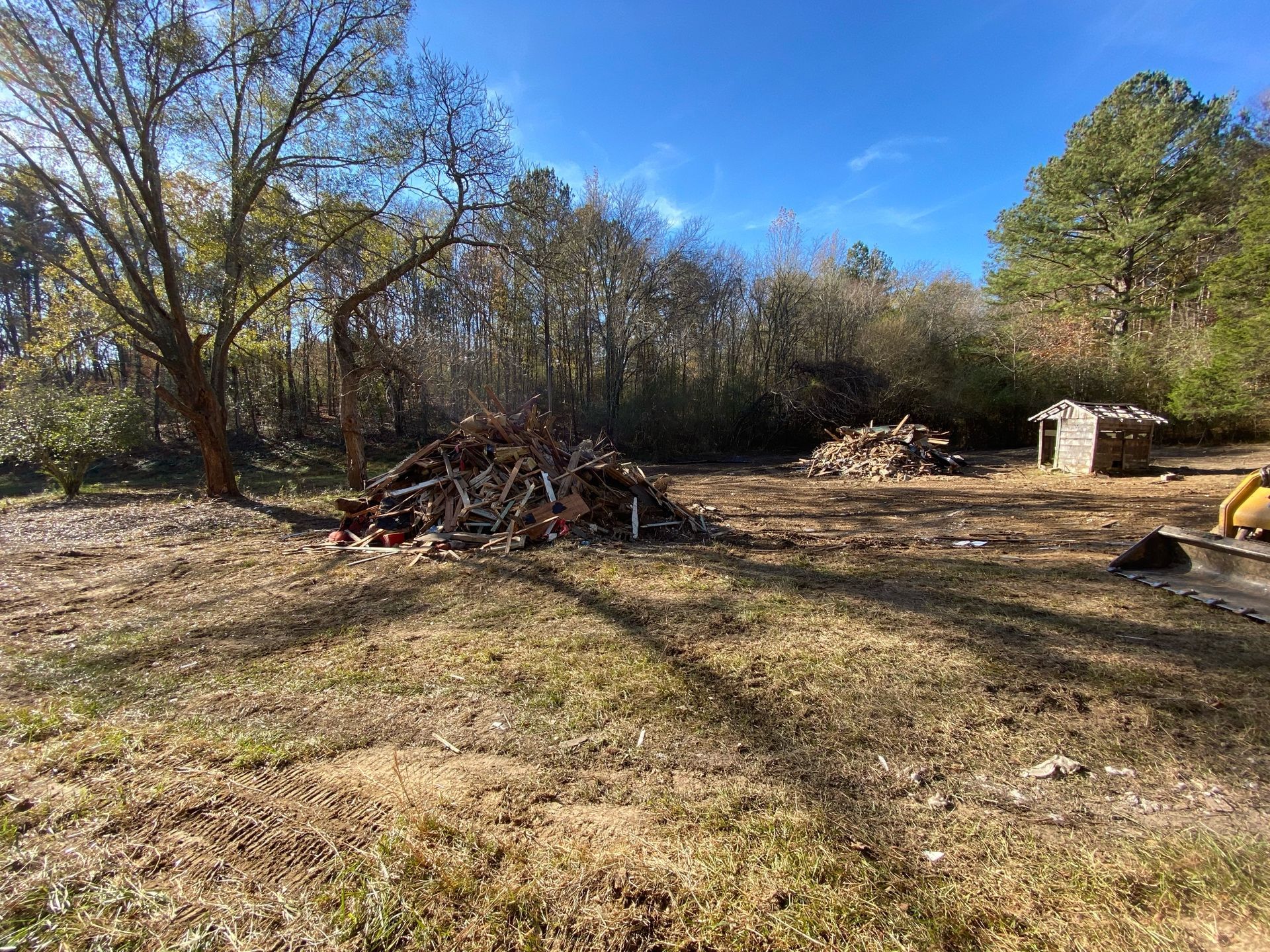 Wooded clearing with piles of brush and debris under a blue sky