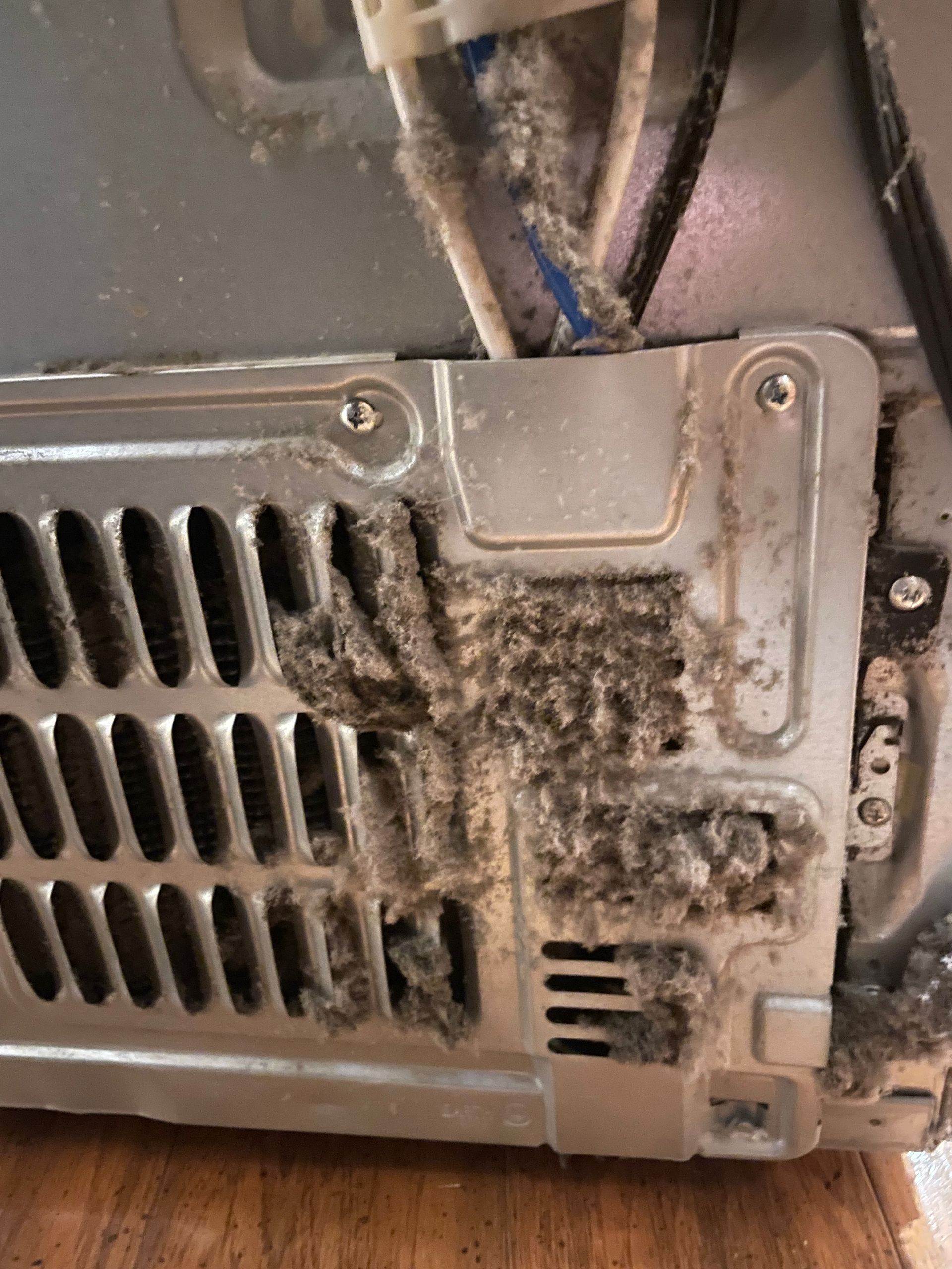 Close-up of a dryer's back panel covered in thick, gray lint and dust buildup, near wiring.