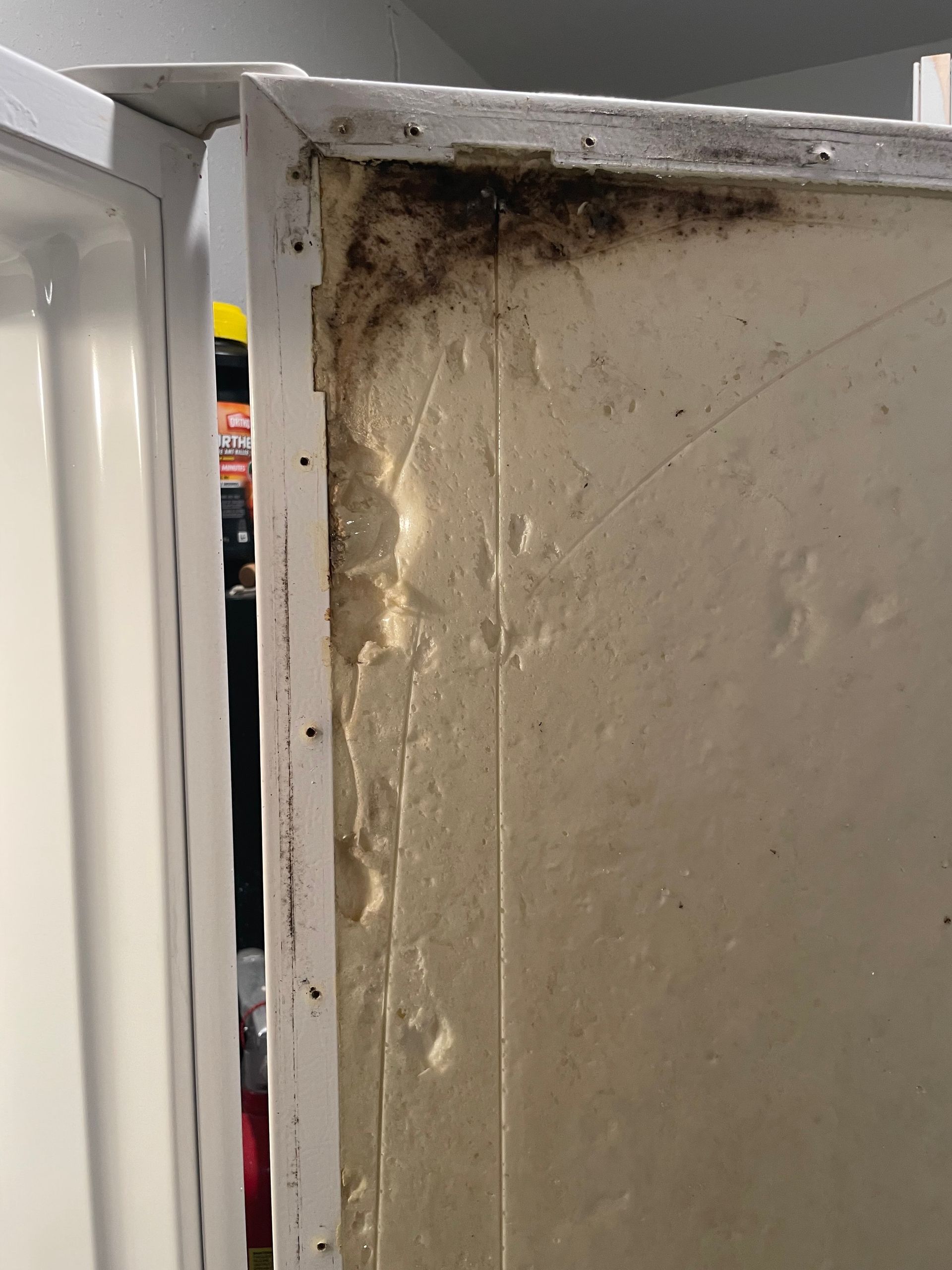 Moldy shower wall corner with dark discoloration, likely due to moisture, near a white door frame.