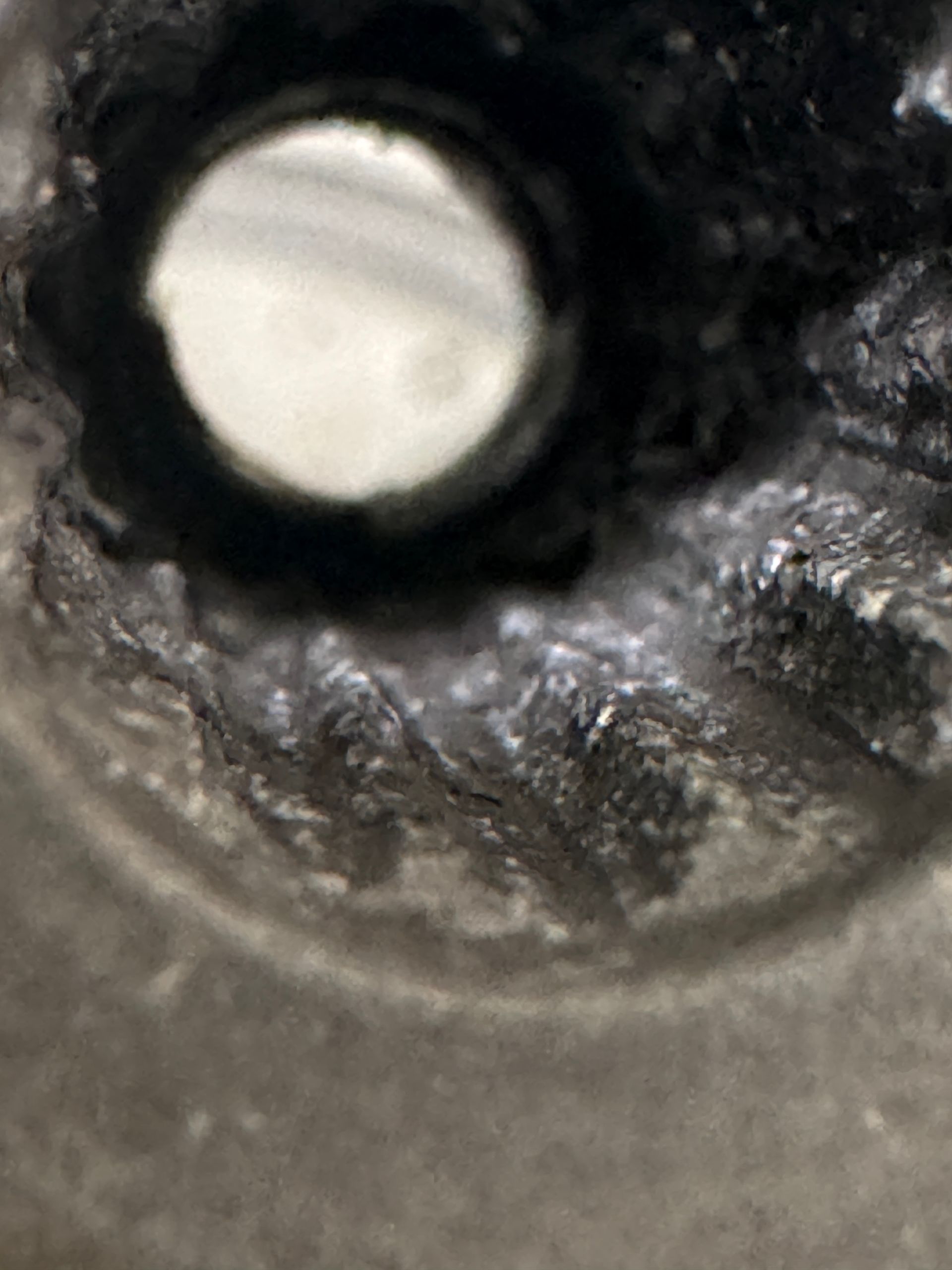 Close-up view inside a dark, circular hole. Rough, ridged texture surrounds the opening.