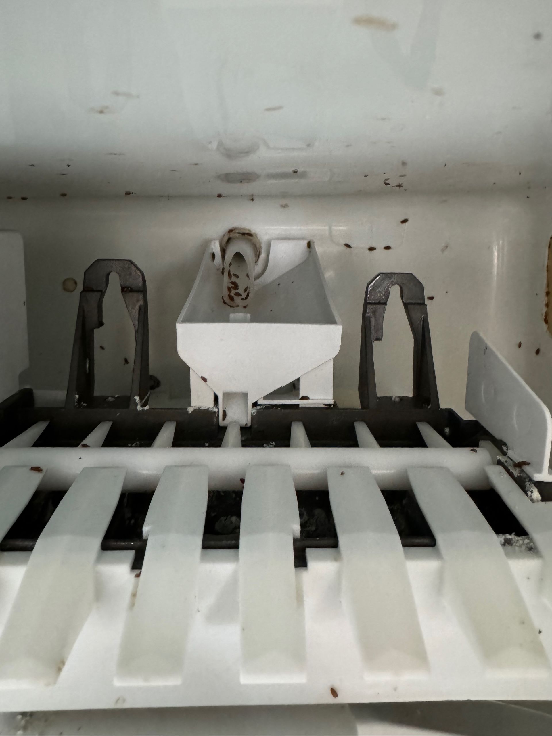 Inside of a refrigerator ice maker: white plastic molds, with a small bucket and metal arms.