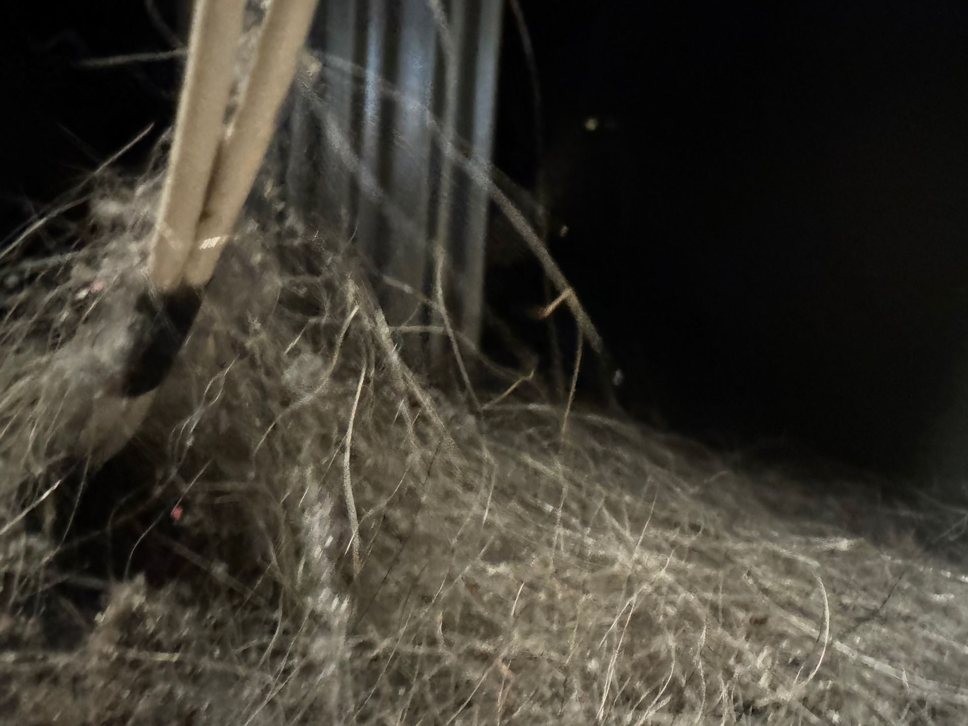 Close-up view of light-colored tangled debris, possibly dust and fibers, being handled by sticks or wands, against a dark background.