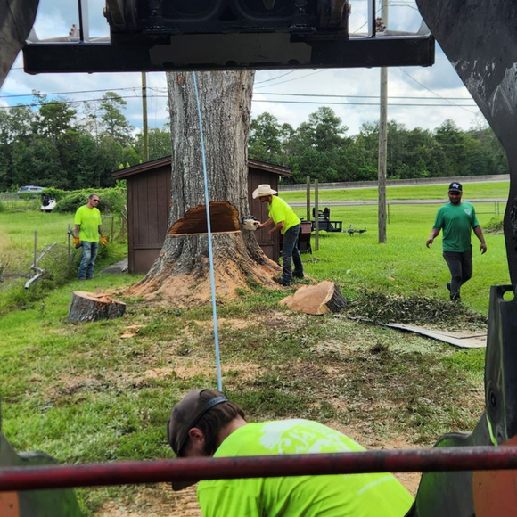Man using a power tool on a stump after a successful tree cutting, preparing to grind the stump