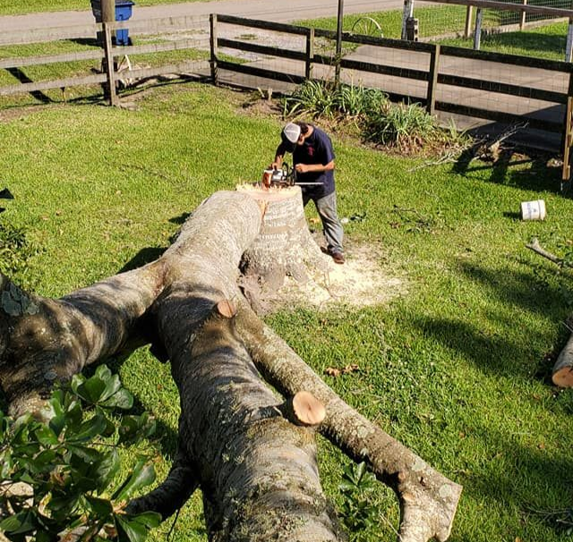 Stump grinder removing a stump in a clients backyard in Southeast Texas