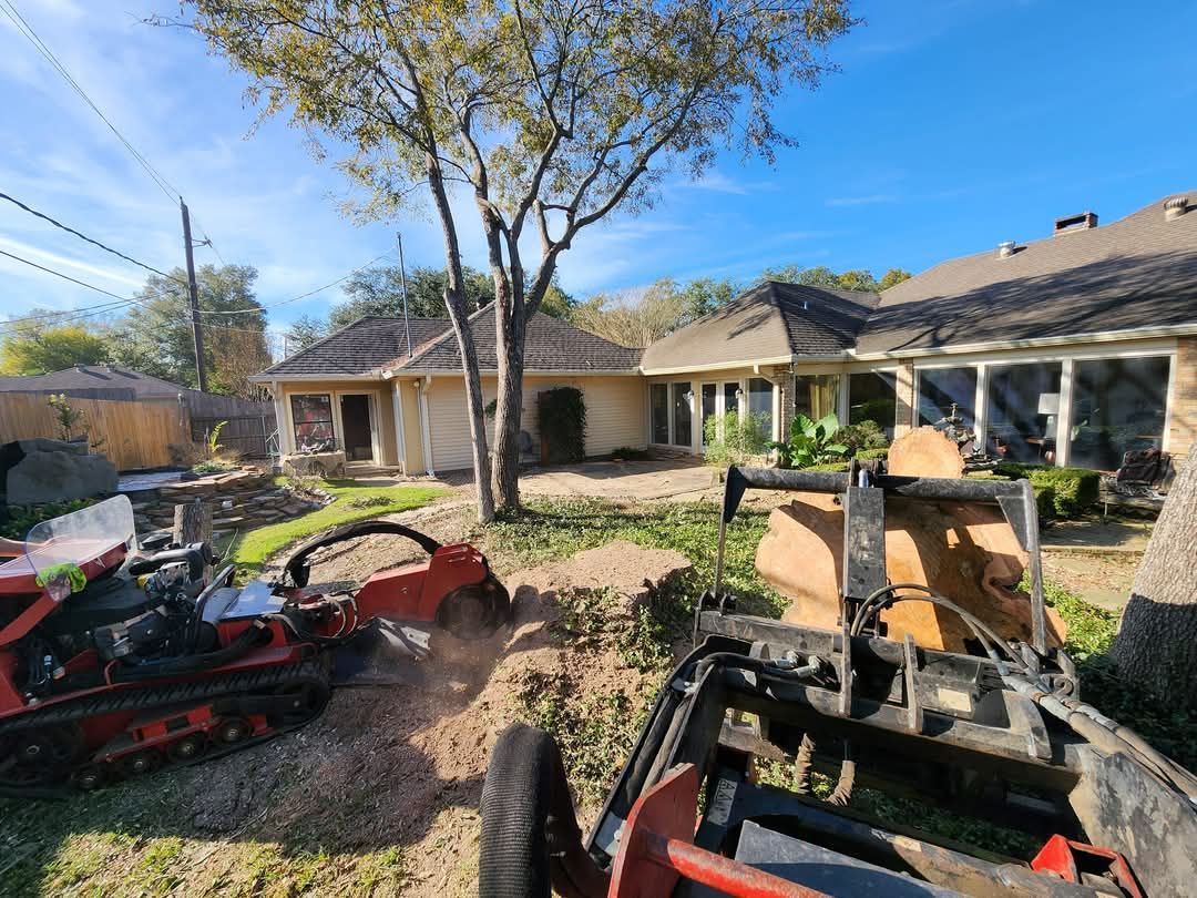 Wood chipper disposing of tree debris into the back of a high sided trailer after a successful tree removal in Beaumont, TX