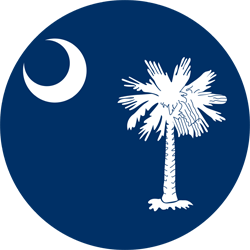 myrtle beach web design expert icon for south carolina