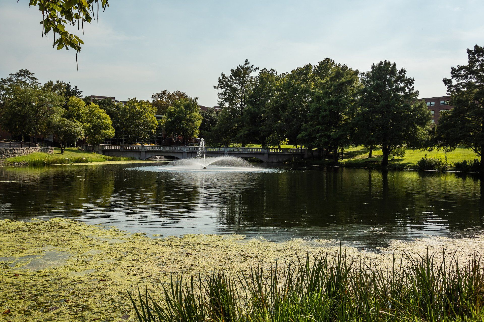Wooster Lake