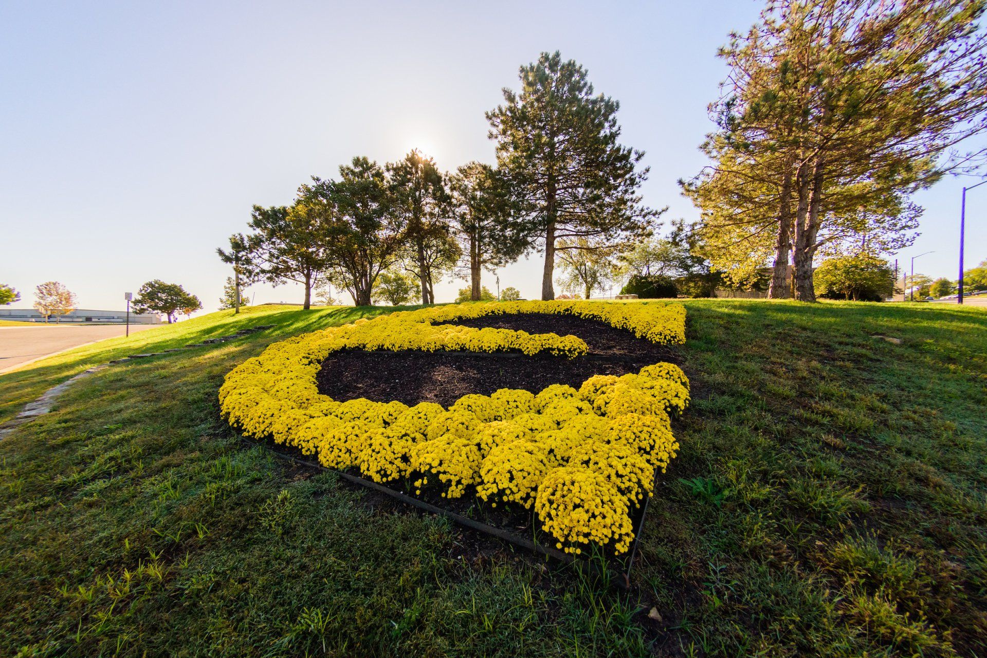 Power E Lawn Flowers