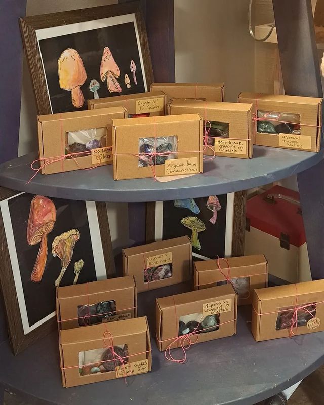 Display of mushroom art and boxed sets on a blue shelf. Artwork and boxes are arranged in an artsy setting.