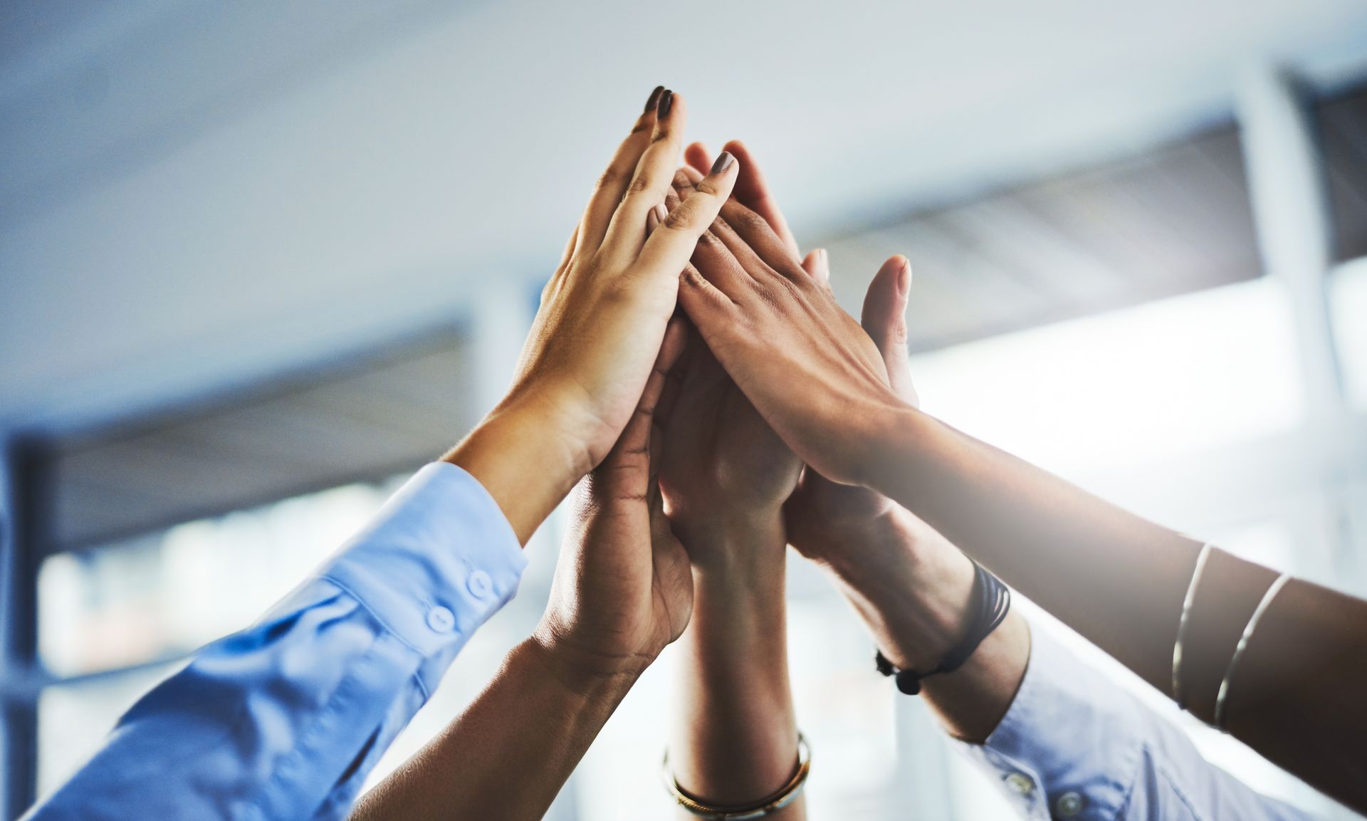 A group of people are giving each other a high five.