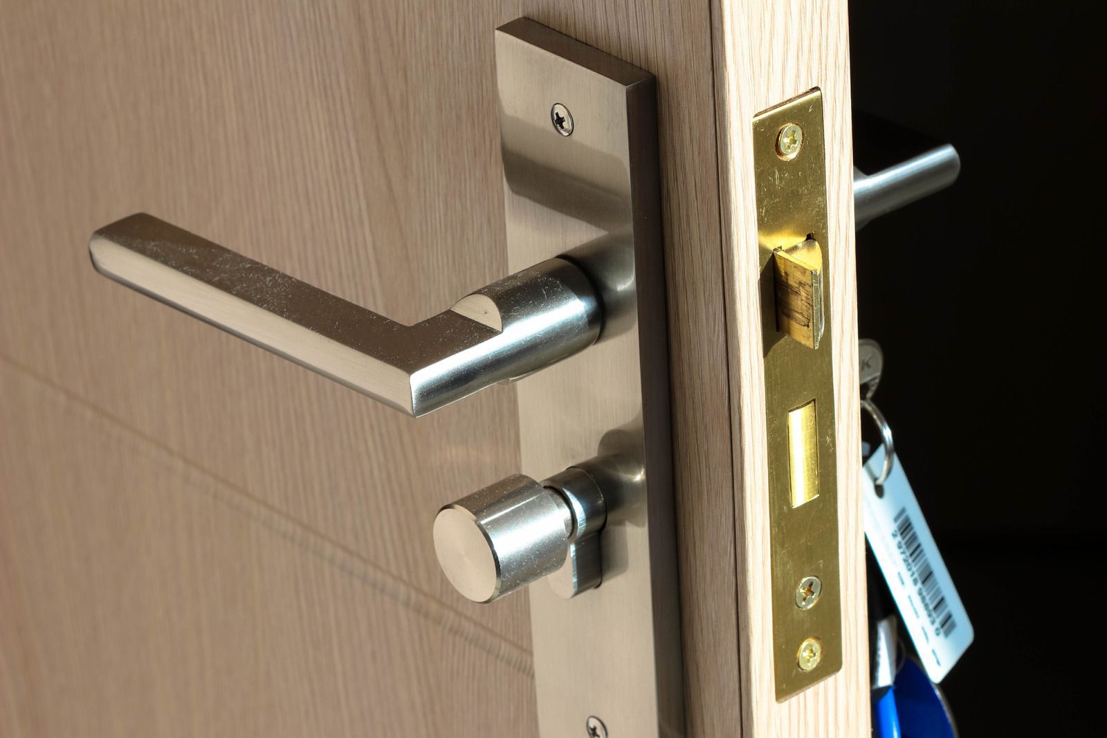 Close-up of a modern metal door handle and lock on a partially open wooden door.