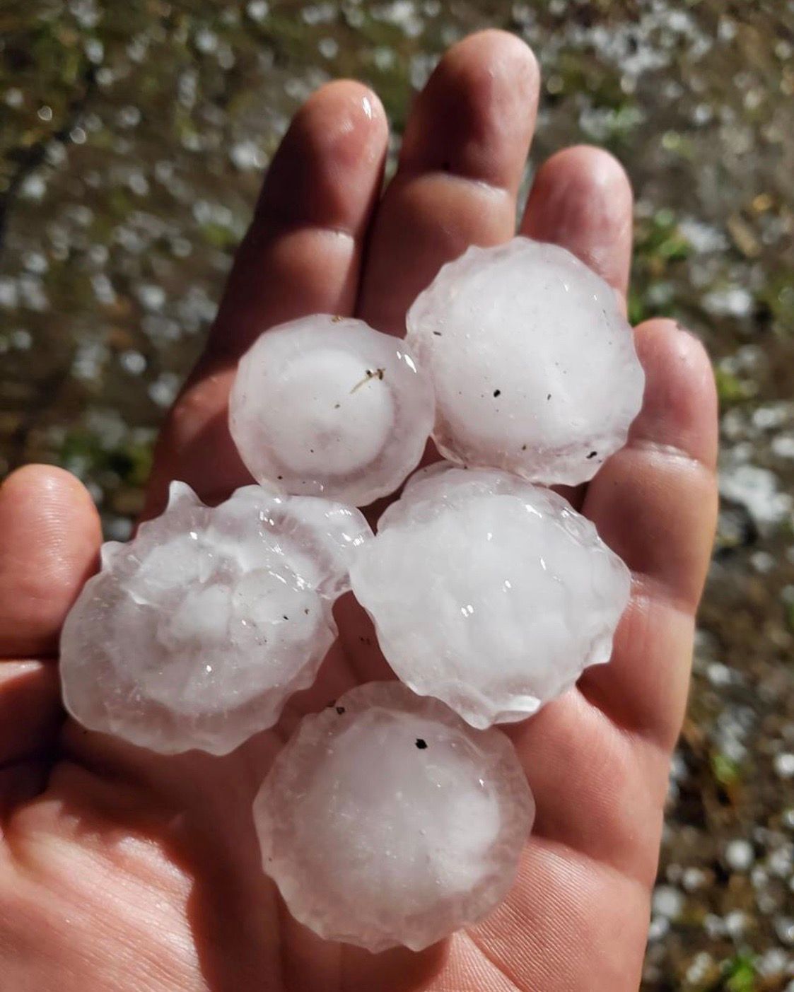 Large Hail in Plano Texas