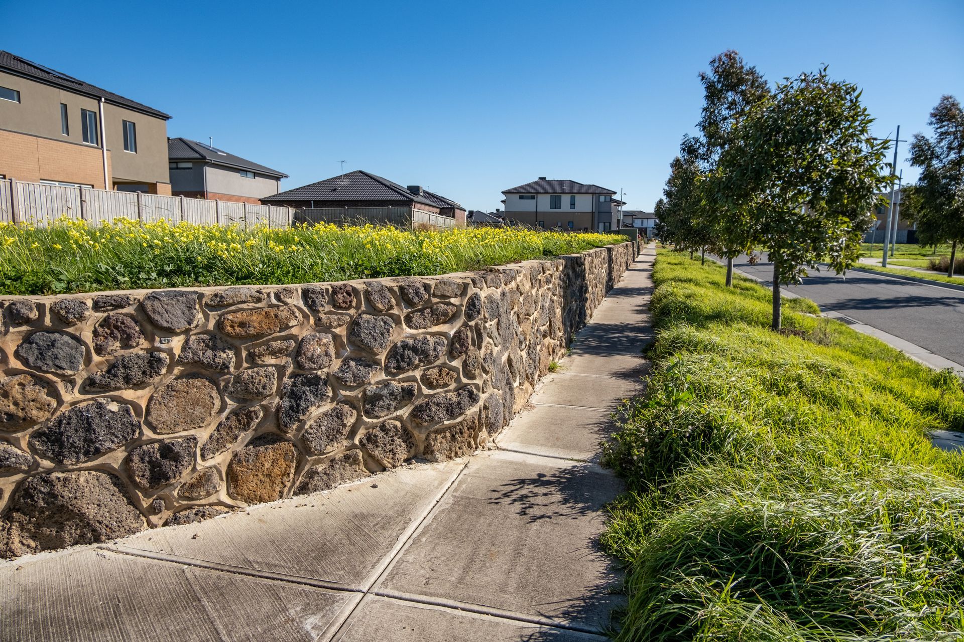 A stone retaining wall topped with yellow flowers borders a concrete sidewalk alongside a street with modern houses. A stone retaining wall topped with yellow flowers borders a concrete sidewalk alongside a street with modern houses.