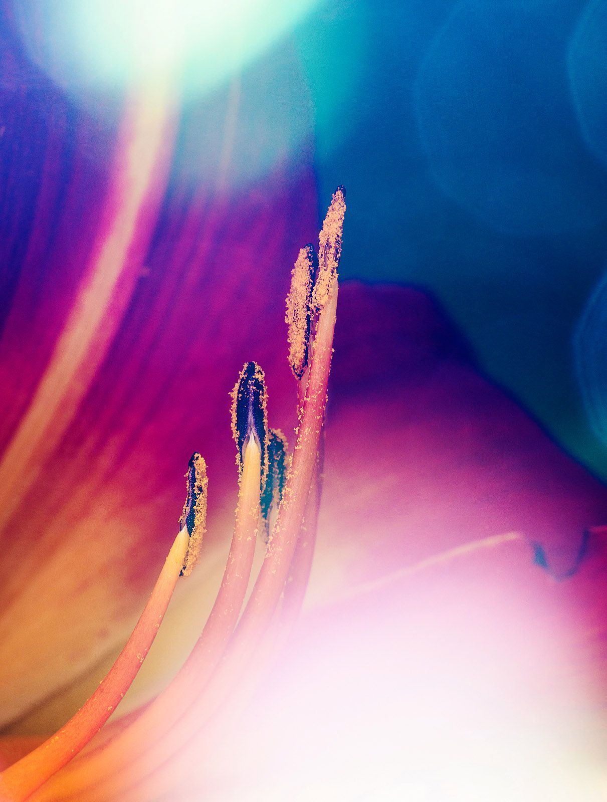 ROCKSTAR | Fine Art Photography Bitcoin Ordinal NFT by Doug Friesen